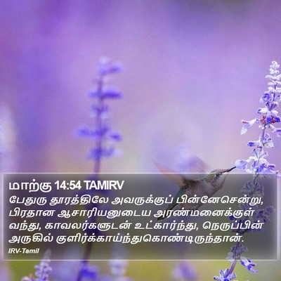 மாற்கு 14:54 TAMIRV Bible Verse Image