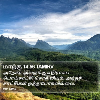 மாற்கு 14:56 TAMIRV Bible Verse Image