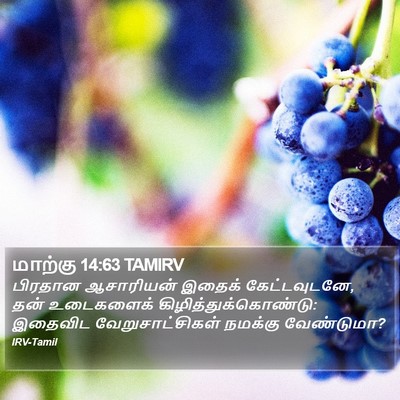 மாற்கு 14:63 TAMIRV Bible Verse Image