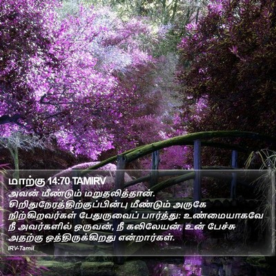 மாற்கு 14:70 TAMIRV Bible Verse Image
