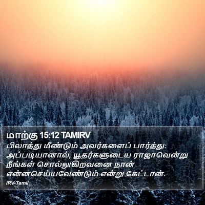 மாற்கு 15:12 TAMIRV Bible Verse Image