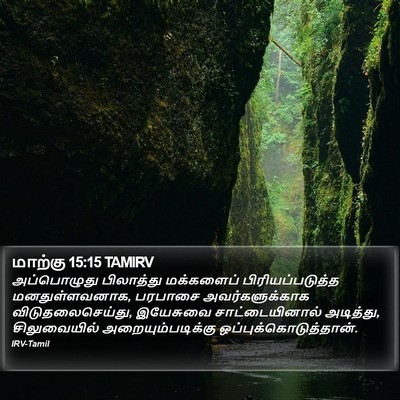மாற்கு 15:15 TAMIRV Bible Verse Image