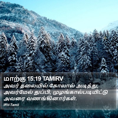 மாற்கு 15:19 TAMIRV Bible Verse Image