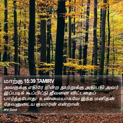மாற்கு 15:39 TAMIRV Bible Verse Image