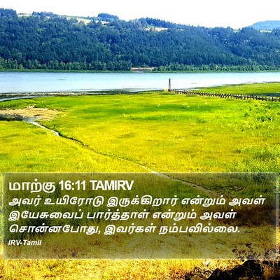 மாற்கு 16:11 TAMIRV Bible Verse Image