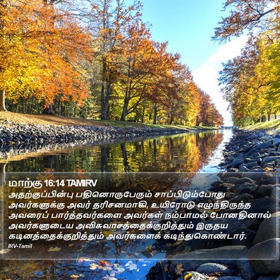 மாற்கு 16:14 TAMIRV Bible Verse Image