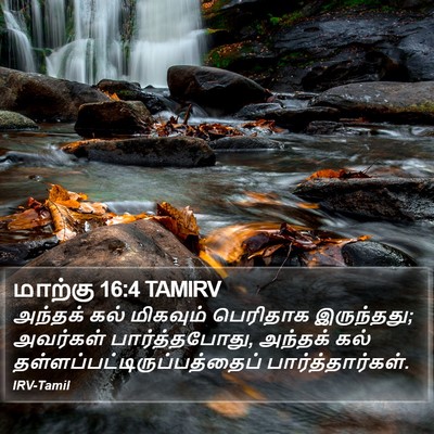 மாற்கு 16:4 TAMIRV Bible Verse Image