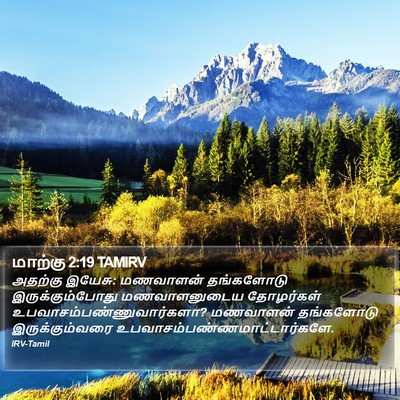 மாற்கு 2:19 TAMIRV Bible Verse Image