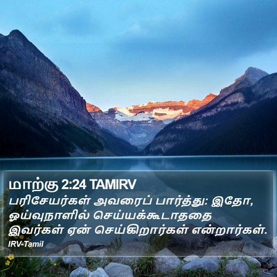மாற்கு 2:24 TAMIRV Bible Verse Image