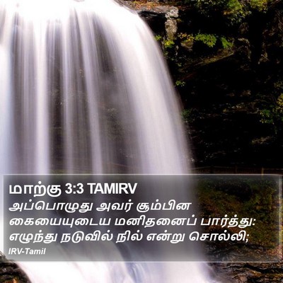 மாற்கு 3:3 TAMIRV Bible Verse Image