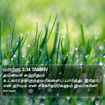 மாற்கு 3:34 TAMIRV Bible Verse Image