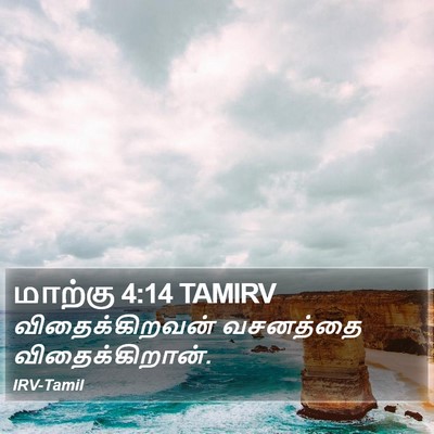 மாற்கு 4:14 TAMIRV Bible Verse Image