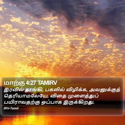 மாற்கு 4:27 TAMIRV Bible Verse Image
