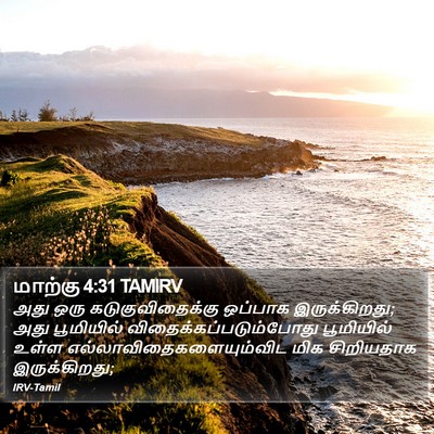 மாற்கு 4:31 TAMIRV Bible Verse Image