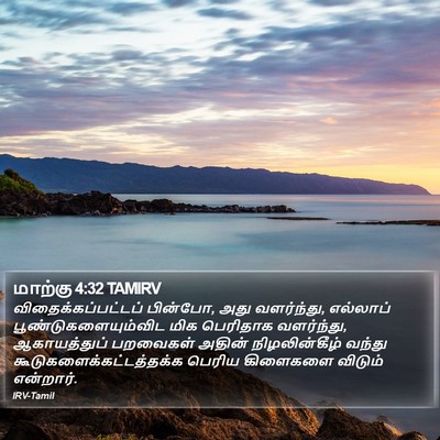 மாற்கு 4:32 TAMIRV Bible Verse Image