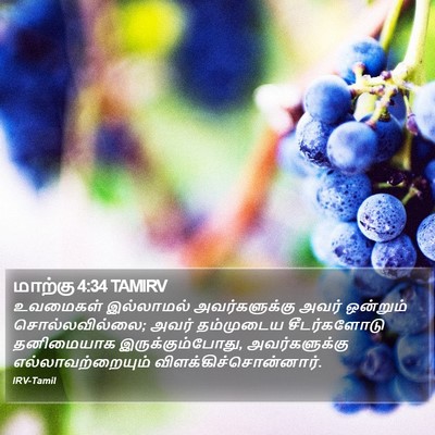 மாற்கு 4:34 TAMIRV Bible Verse Image