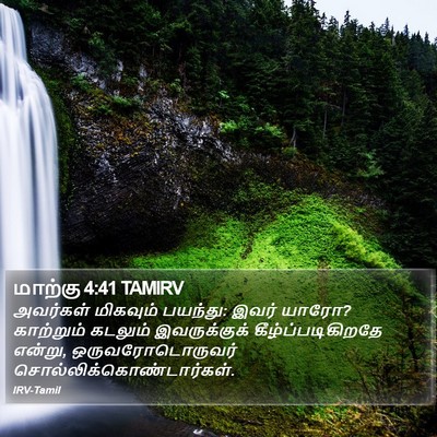 மாற்கு 4:41 TAMIRV Bible Verse Image