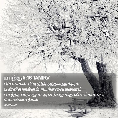 மாற்கு 5:16 TAMIRV Bible Verse Image