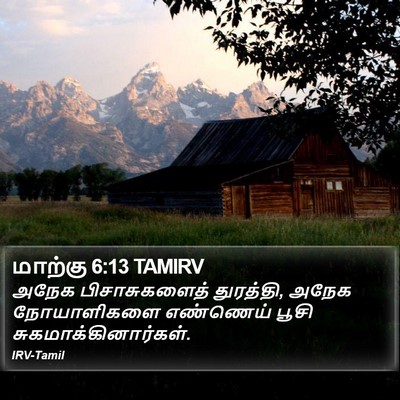 மாற்கு 6:13 TAMIRV Bible Verse Image