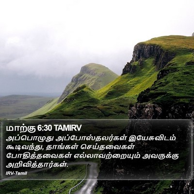 மாற்கு 6:30 TAMIRV Bible Verse Image