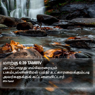 மாற்கு 6:39 TAMIRV Bible Verse Image