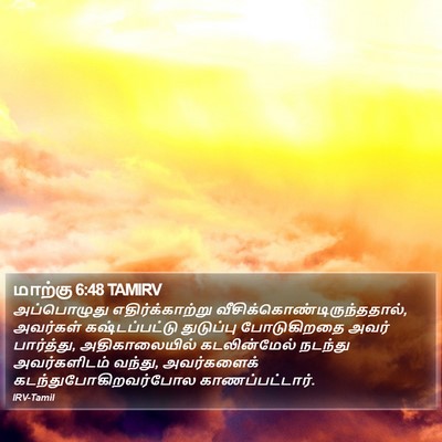 மாற்கு 6:48 TAMIRV Bible Verse Image