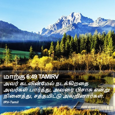 மாற்கு 6:49 TAMIRV Bible Verse Image