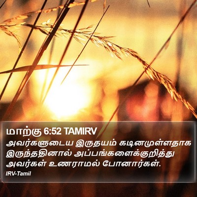 மாற்கு 6:52 TAMIRV Bible Verse Image