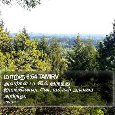 மாற்கு 6:54 TAMIRV Bible Verse Image