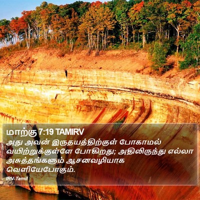 மாற்கு 7:19 TAMIRV Bible Verse Image