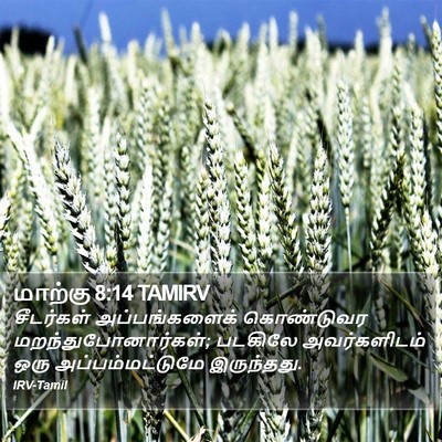 மாற்கு 8:14 TAMIRV Bible Verse Image