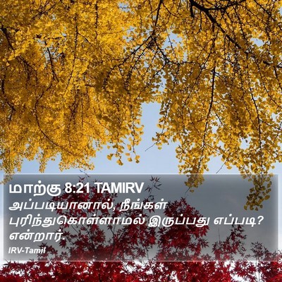 மாற்கு 8:21 TAMIRV Bible Verse Image