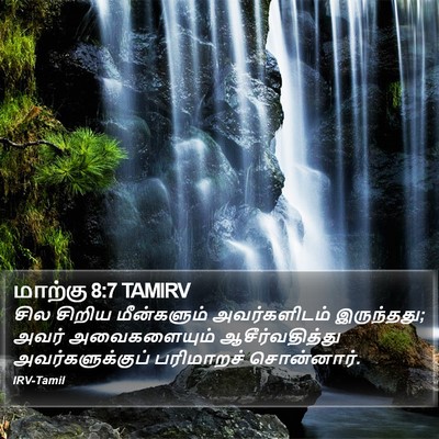 மாற்கு 8:7 TAMIRV Bible Verse Image