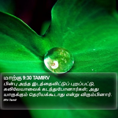 மாற்கு 9:30 TAMIRV Bible Verse Image