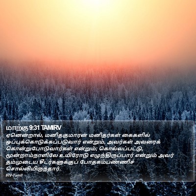 மாற்கு 9:31 TAMIRV Bible Verse Image