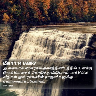 மீகா 1:14 TAMIRV Bible Verse Image