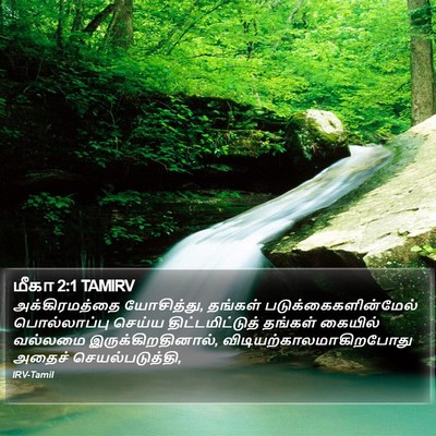 மீகா 2:1 TAMIRV Bible Verse Image