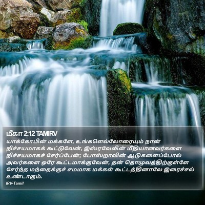 மீகா 2:12 TAMIRV Bible Verse Image