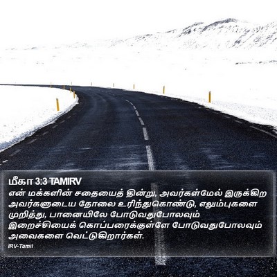 மீகா 3:3 TAMIRV Bible Verse Image