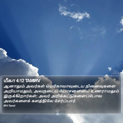மீகா 4:12 TAMIRV Bible Verse Image
