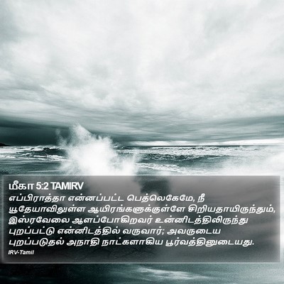 மீகா 5:2 TAMIRV Bible Verse Image