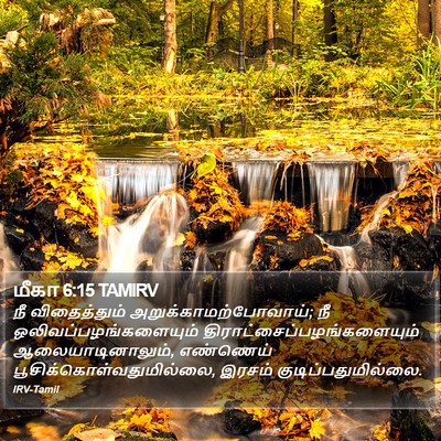 மீகா 6:15 TAMIRV Bible Verse Image