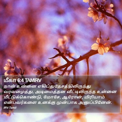 மீகா 6:4 TAMIRV Bible Verse Image
