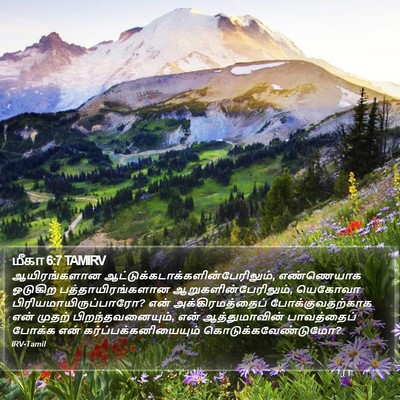 மீகா 6:7 TAMIRV Bible Verse Image
