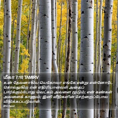 மீகா 7:10 TAMIRV Bible Verse Image