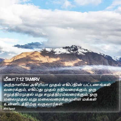 மீகா 7:12 TAMIRV Bible Verse Image