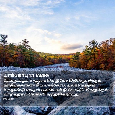 யாக்கோபு 1:1 TAMIRV Bible Verse Image