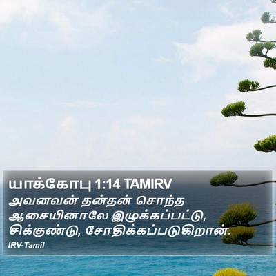 யாக்கோபு 1:14 TAMIRV Bible Verse Image