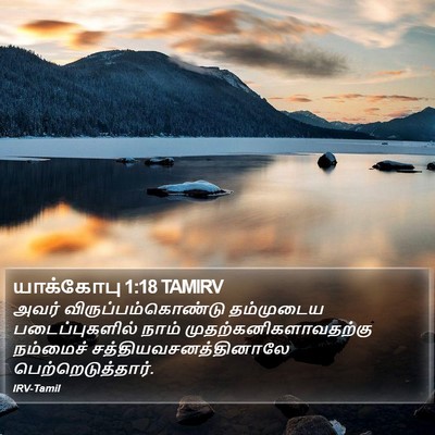 யாக்கோபு 1:18 TAMIRV Bible Verse Image