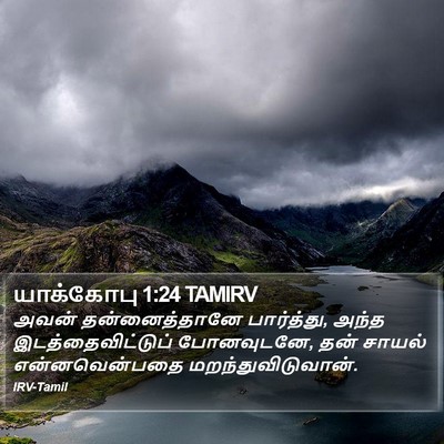 யாக்கோபு 1:24 TAMIRV Bible Verse Image